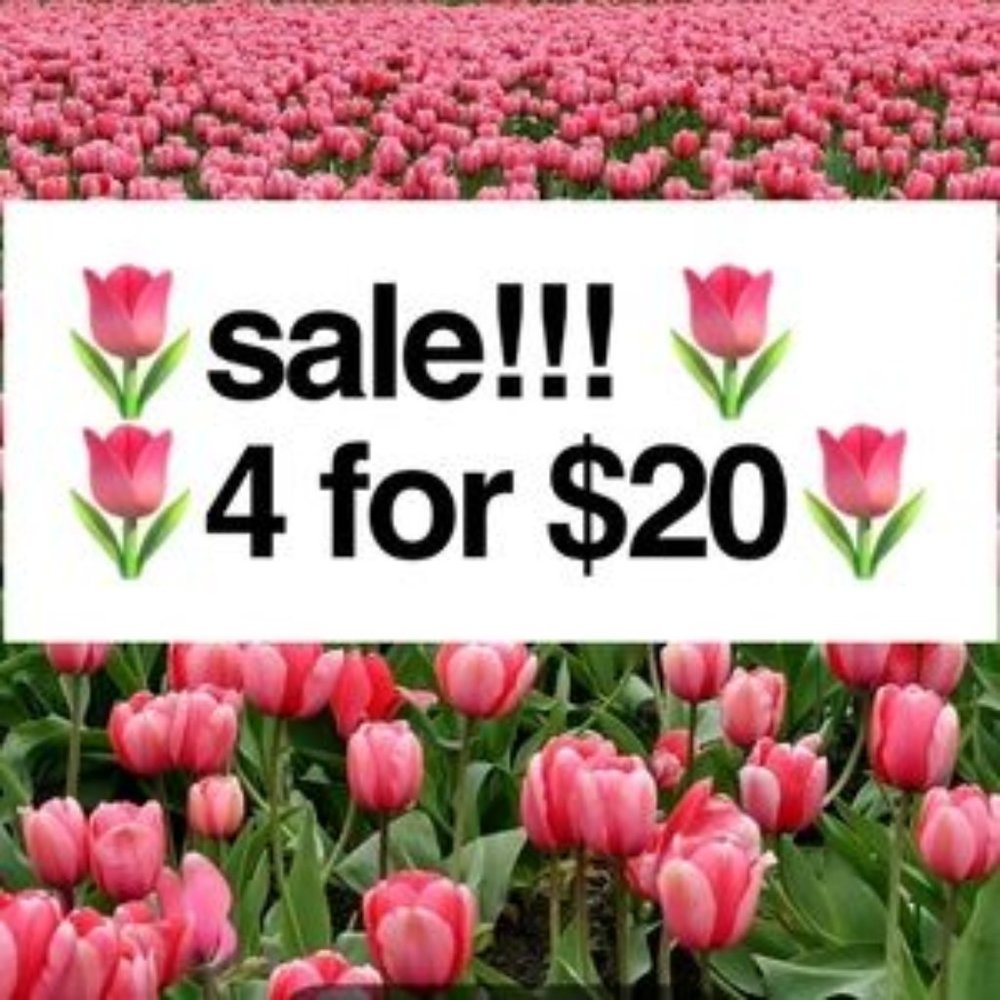 🌷🌷4/$20SALE🌷🌷